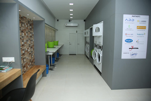Owl Image